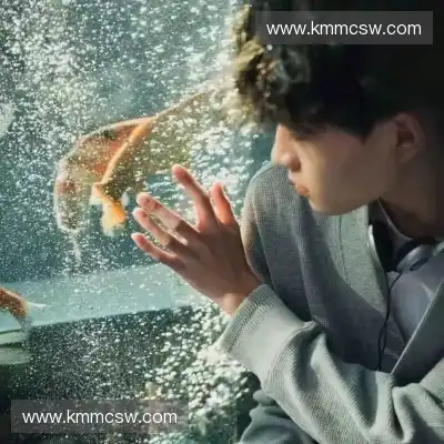 毕晋昱